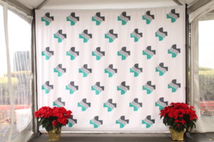 10x8 Step and Repeat Pattern for Sutter Health